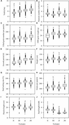Exploring the Relationships Between Yield and Yield-Related Traits for Rice Varieties Released in China From 1978 to 2017